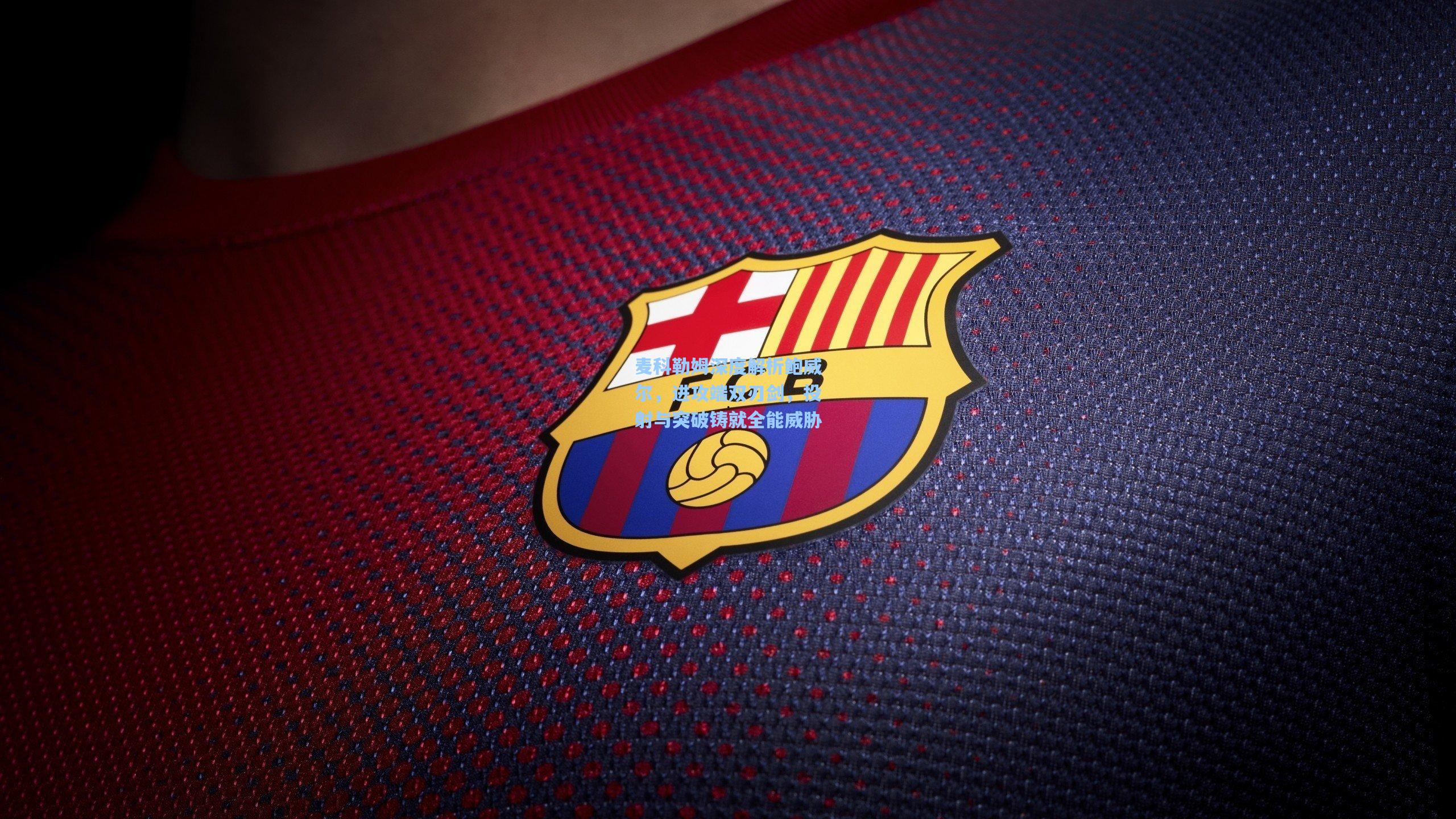 麦科勒姆深度解析鲍威尔，进攻端双刃剑，投射与突破铸就全能威胁