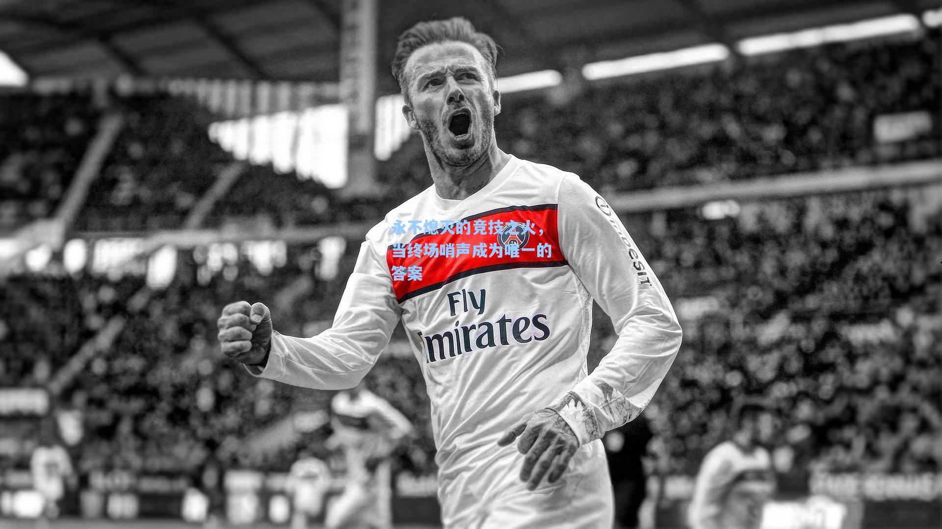 永不熄灭的竞技之火,当终场哨声成为唯一的答案